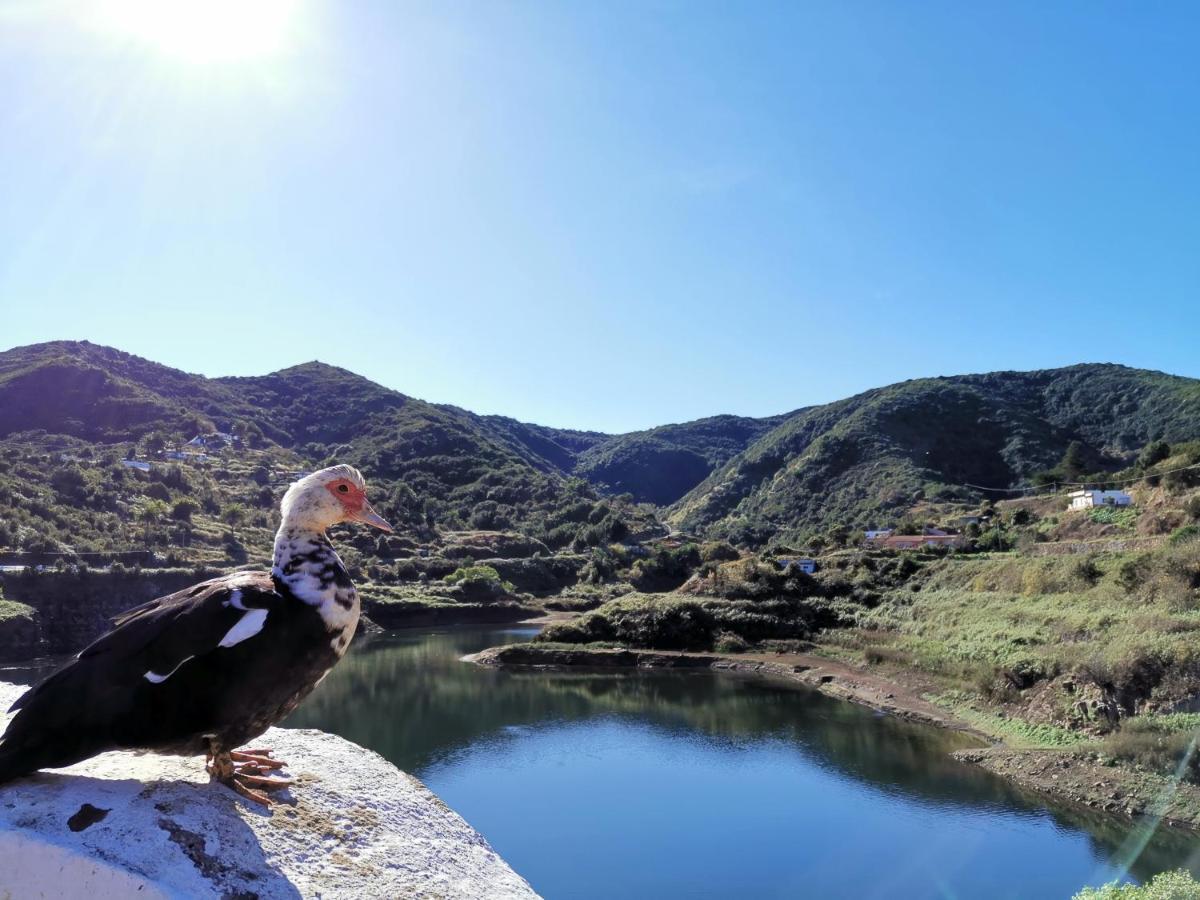 Casa Rural Leo: Remanso De Paz Y Tranquilidad Agulo Bagian luar foto